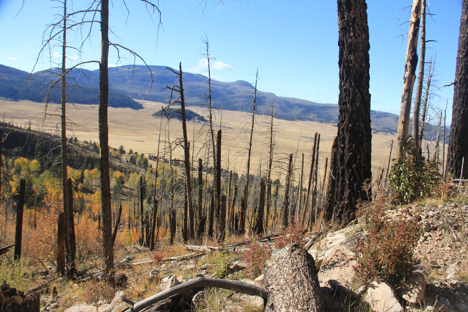 Valles Caldera National Preserve 